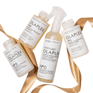 Olaplex Hair Repair Treatment Kit